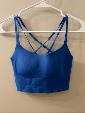 aerie Blue Strappy Cropped Bralette